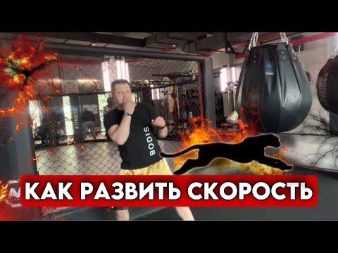 Видео: Тренировка скорости и быстроты в боксе