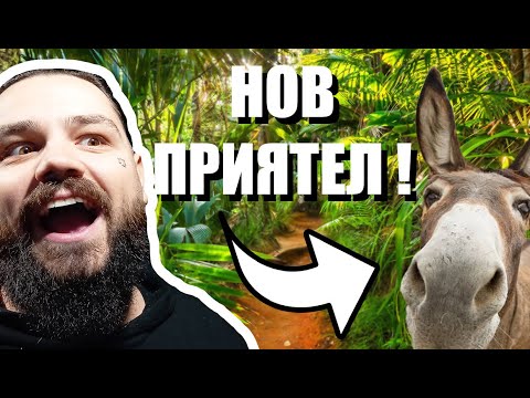Видео: НАМЕРИХМЕ МАГАРЕ!