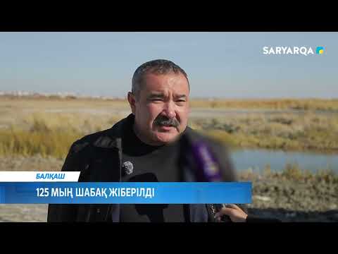 Видео: 125 мың шабақ жіберілді