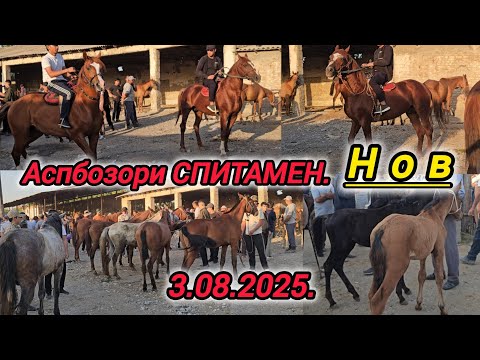 Видео: АСП БОЗОРИ ХУДЧАНД СПИТОМЕН НОВ АСПХОИ БУЗИ ТОЙ БАЙТАЛ 3-АВГУСТ