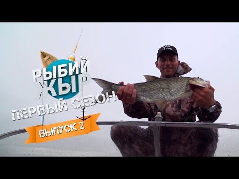 Видео: Рыбий ЖЫР - рыбалка в Ершихе (выпуск 2)