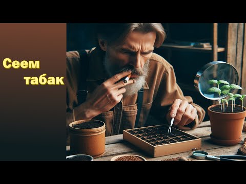Видео: Посев семян табака: первые шаги к идеальной рассаде