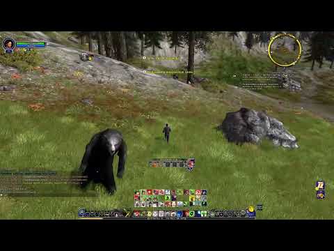 Видео: Lotro_ защитник_Западный Гондор