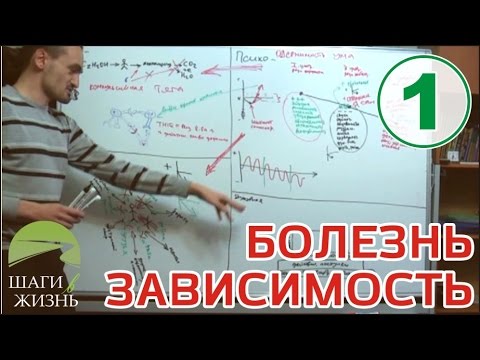 Видео: Занятие 1 - Болезнь Зависимость ▶️ ЦИКЛ ДЛЯ ЗАВИСИМЫХ И СОЗАВИСИМЫХ