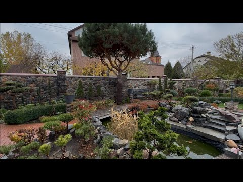 Видео: СТОИТ ЛИ СДЕРЖИВАТЬ ВЗРОСЛУЮ СОСНУ В РОСТЕ? ВАМ ПРИЙДЕТСЯ С ЭТИМ СТОЛКНУТЬСЯ! НАШ ОПЫТ! ВОПРОС-ОТВЕТ