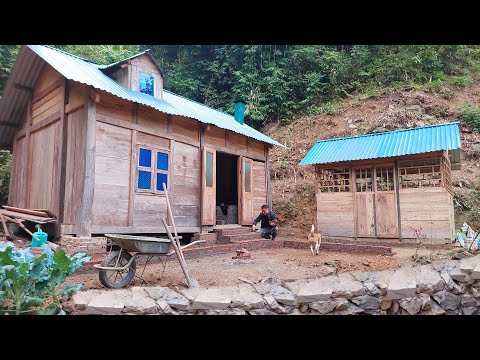 Видео: Постройте и достройте бревенчатый домик. Поймайте речную рыбу — живите в одиночестве в лесу