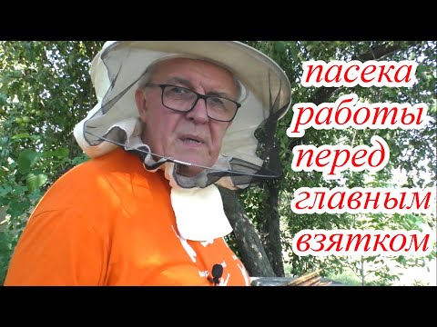 Видео: РАБОТЫ НА ПАСЕКЕ перед главным взятком.