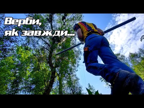 Видео: Валимо великі дерева