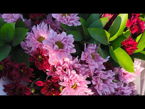 Видео: Флорэвиль. Вкусный осенний завоз 