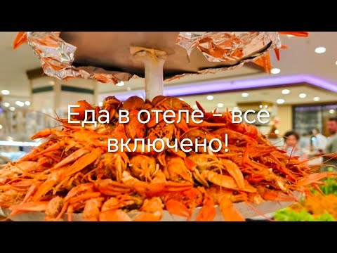 Видео: Турция, Белек, отель Belkonti Resort 5.9.25