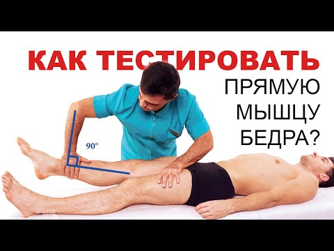 Видео: Все нюансы ММТ прямой мышцы бедра (Глеб Кирдогло)