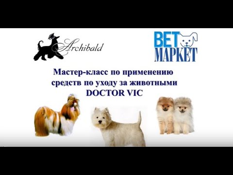 Видео: Как помыть собаку косметикой DOCTOR VIC
