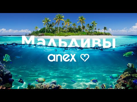 Видео: 20.11.24 Мальдивы.Taj Maldives