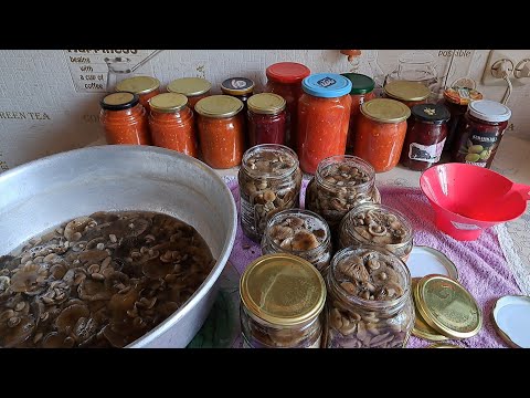 Видео: 🍄‍🟫🫙Мариную опята/ Рецепт проверен годами/Покрасила Навес🌻🏠