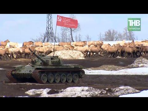 Видео: Коневод Хасан Идиятуллин из Башкортостана - человек особой породы! 7 дней | ТНВ