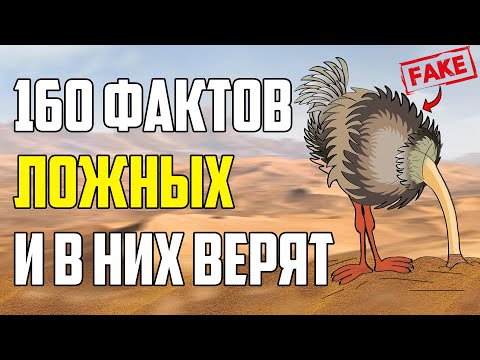 Видео: 160 ЛОЖНЫХ ФАКТОВ, В КОТОРЫЕ ВСЕ ВЕРЯТ