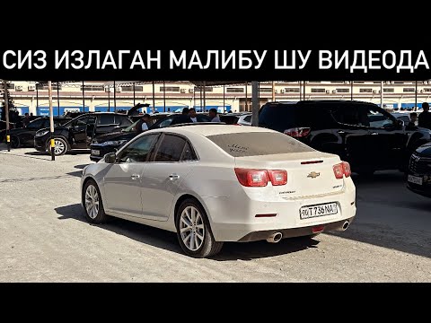 Видео: MALIBU 1-2, CAPTIVA, BYD, EQUINOX  НАРХЛАРИ🔥 22 - Сентябрь Хоразм Машина Бозори