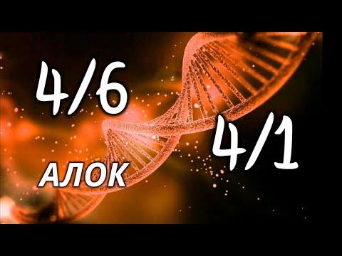 Видео: Профиль 4/6  - профиль 4/1 - Дизайн Человека -лекция Алока
