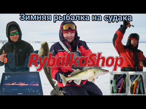 Видео: RybalkaShop-Нереальный клев зимнего судака в Камском Устье