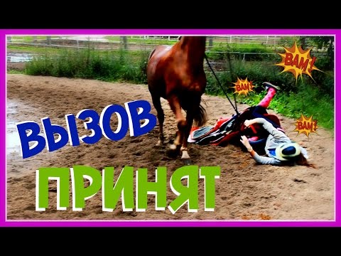 Видео: Конный ВЫЗОВ ПРИНЯТ | Упала 3 раза