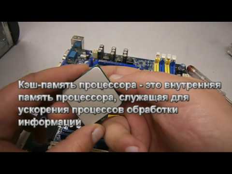 Видео: Информатика   Процессор и системная плата