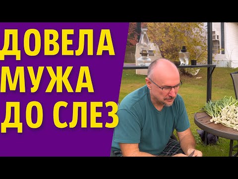 Видео: VLOG #21. Выходной день? Ха! Только не у нас! Муж этот день не забудет никогда. А я этому рада. 