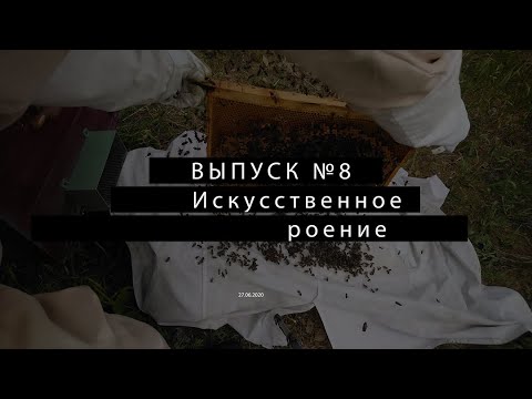 Видео: Выпуск № 8: искусственное роение