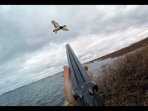 Видео: Охота на утку, чуть не упал в речку!