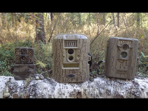 Видео: Мои фотоловушки фирмы MOULTRIE. Обзор.