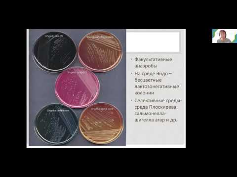 Видео: С. А. Лисовская. Энтеробактерии. Медико-биологический факультет. Часть 2.