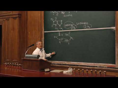 Видео: Зык Н. В. - Биоорганическая химия I - 19. Гетероциклические соединения