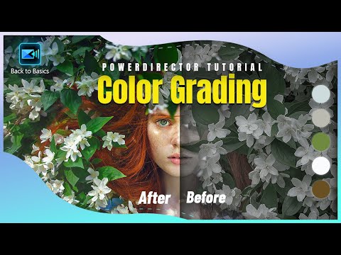 Видео: Цветокоррекция видео: настройка света и цвета | Учебное пособие по основам видеомонтажа в PowerDi...