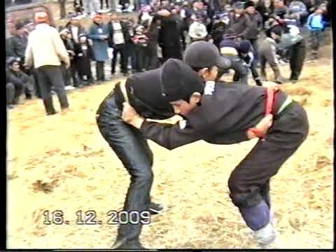 Видео: Курош. Бешкент. Лейлек . Кыргызстан.