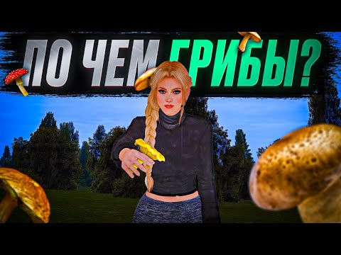 Видео: НОВИЧКИ НЕ ВИДЯТ ЭТОТ ЗАРАБОТОК, А МНЕ ОН ПРИНЁС...► MTA Province #6