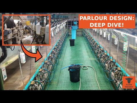 Видео: ПРОЕКТИРОВАНИЕ доильного зала | Почему РОБОТИЧЕСКИЕ залы — ПЛОХАЯ ИДЕЯ? | Доильный зал за 436 000...