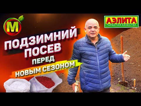 Видео: Когда и Как Сеять под Зиму для Раннего Урожая