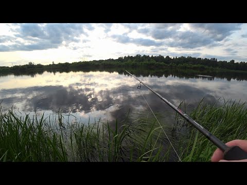 Видео: РЫБАЛКА НА СПИННИНГ С БЕРЕГА, ЩУКА, ОКУНЬ!!!