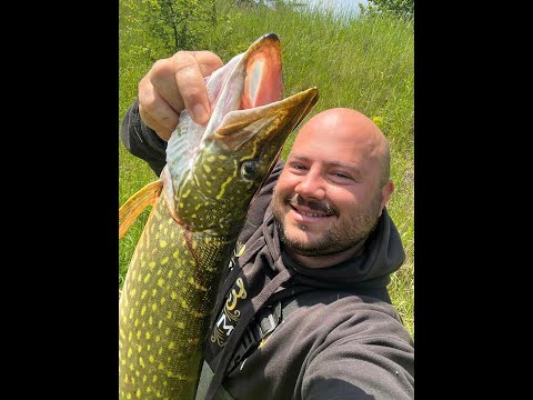 Видео: ЩУКИТЕ СИГУРНО СА ПОЛУДЕЛИ!
