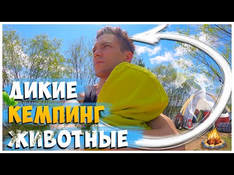 Видео: ОТДЫХ С ПАЛАТКАМИ МАЙ 2023 2 ЧАСТЬ