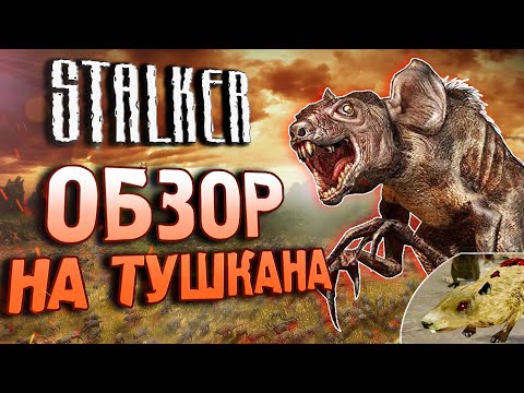 Видео: [S.T.A.L.K.E.R.] ВСЁ о ТУШКАНАХ | Как их создали?