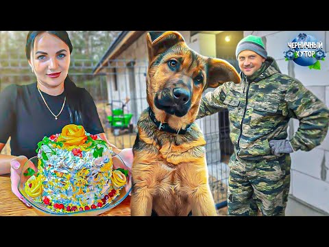 Видео: Жить без суеты мы не можем. Кур и кабана больше нет, но есть новые окна, забор и двери.