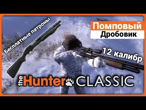 Видео: Помповый дробовик 12 калибра в theHunter Classic !