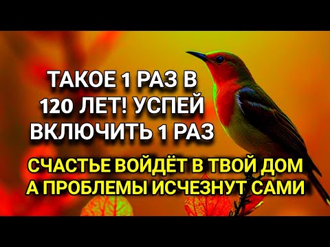 Видео: ☝️ УСПЕЙ ВКЛЮЧИТЬ 1раз! СЧАСТЬЕ ВОЙДЁТ В ДОМ, А ПРОБЛЕМЫ ИСЧЕЗНУТ САМИ! Это Чудо 🔊🤲✨🔑💯
