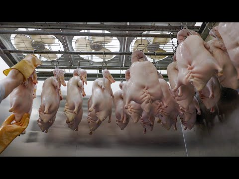 Видео: Это наполняет вашу жизнь смыслом, приготовление жареного мяса с 5 вкусами - Taiwan Food