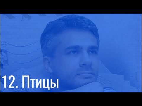 Видео: Илья Егоров — Птицы