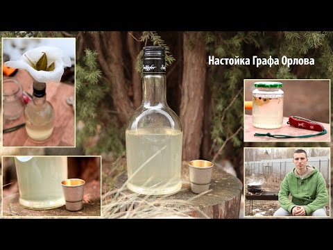 Видео: Настойка Графа Орлова - Бабушкин Рецепт
