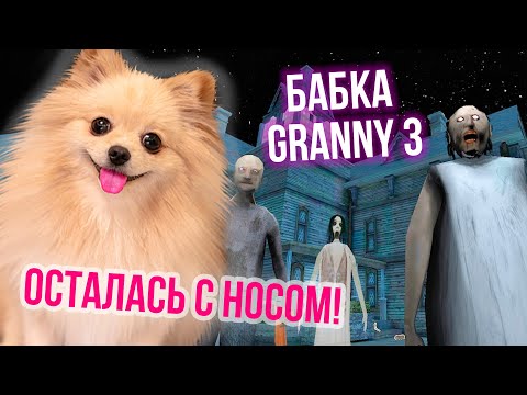 Видео: Я ПРОШЛА ГРЕННИ В ПЕРВЫЙ РАЗ !  СБЕЖАЛА ОТ БАБКИ ГРЕННИ 3