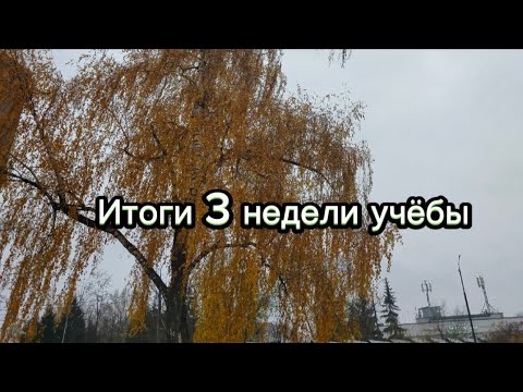Видео: Итоги 3 недели учебы)