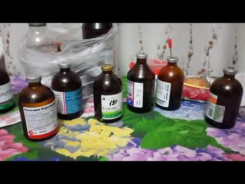 Видео: Какие витамины для коз использую и почему.