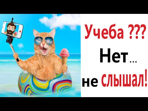Видео: Лютые приколы! ШКОЛА??? НЕТ – НЕ СЛЫШАЛ!!! Тест на психику! Попробуй не засмеяться! – Domi Show!